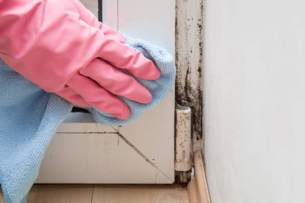 Crawl Space Mold Removal in Smith Center, KS